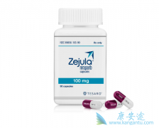 Zejula/���������ʹ��˵��