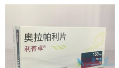 PARP���Ƽ�����������������ǰ���ٰ���