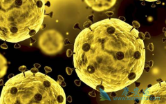 �����Τ(remdisivir)���¹ڷ��ײ�һ����Ч