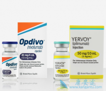 ���������θ�ϸ������Ч��ô��