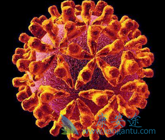 ������Τ��