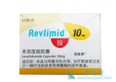 ���ǶȰ���������tafasitamab���������Դ�Bϸ���ܰ���