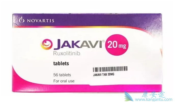 ³������˵����