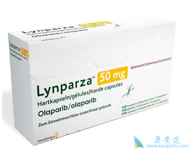 ��������˵����