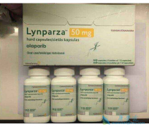 �������Ậ��PARP���Ƽ��ɷֵİ���ҩ��