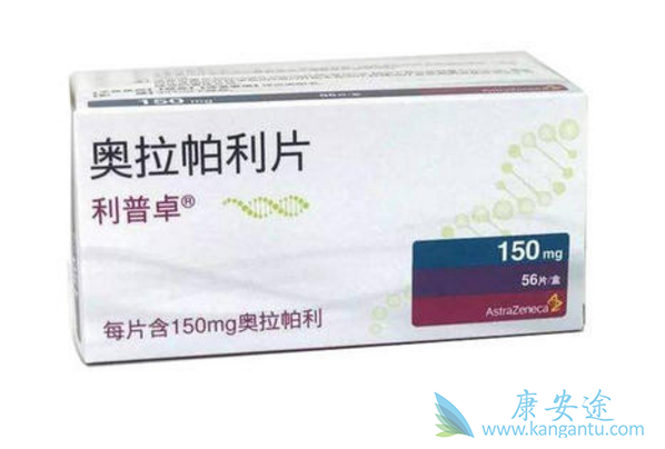 ��������˵����