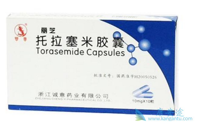 托拉塞米说明书 托拉塞米说明书