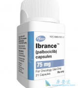 Palbociclib/Ibranceҩ���������ݷ���