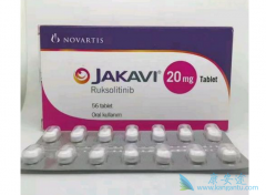 ��Σ������ά������ע���Ķ�³������˵����