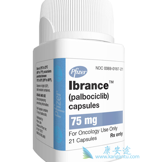 哌柏西利 哌柏西利