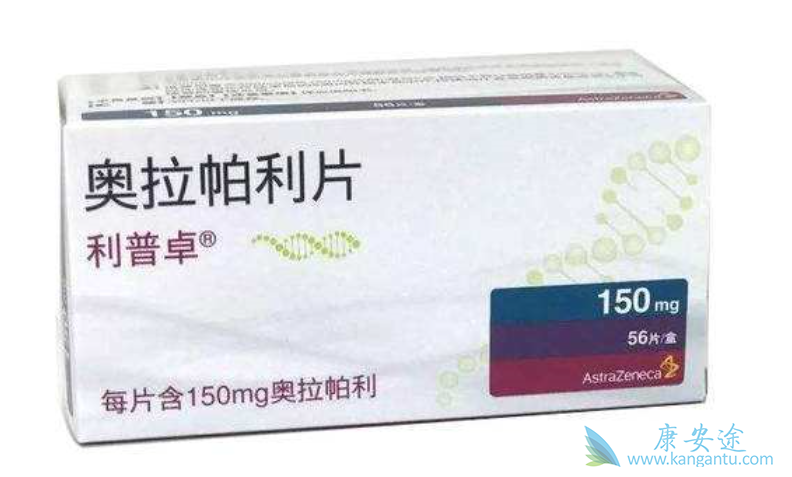 ��������˵����