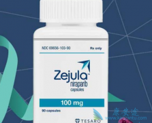 ��������/Niraparib����Ĳ�����Ӧ����