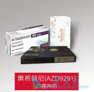 ��ϣ����