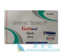 Gefitinib�������Ʒ�Сϸ������