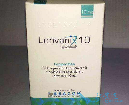 �ַ�����