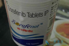 ӡ�ȶ༪�������������в����