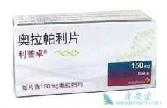 ��������/����������������Ӧ֢