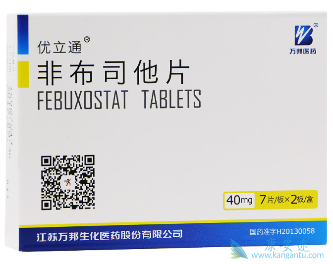 非布索坦 非布索坦