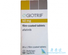 ��������(afatinib)����Ч�������ƴ����Ӱ��