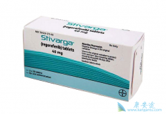 regorafenib/����������϶��ִٽ����������ļ�ø