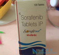 �༪��/��������ᵼ������ή����