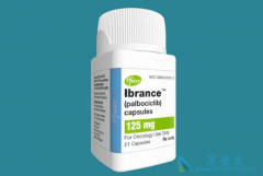 palbociclib/�߰��������ƻ��ߵ���������