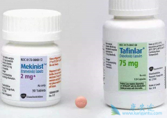 �����������������������׸�������ɫ����������Ӧ֢�İ���ҩ