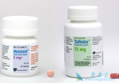 ��������������������Ϸ����İ�ȫ�Եõ���֤