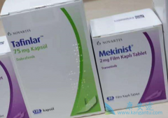 ��������������������ƺ�ɫ�������������