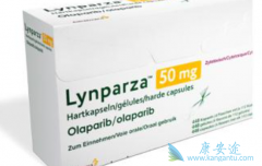 ��������/��������non-gBRCAm��Ⱥ������ȷ֤