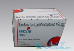 ��������/Ceritinib��λ�������ڳ���51.3����