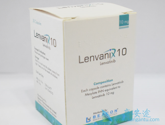 �ַ�����