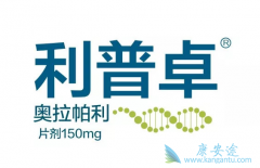 ��������2020�۸�