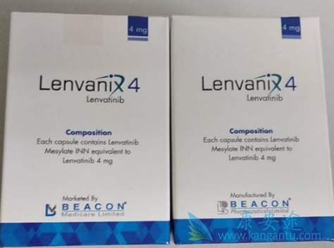 �ַ�����