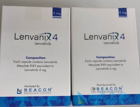 �ַ�����