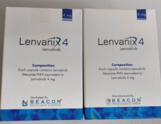 �����ַ�����������