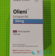 ���������İ���������Ч