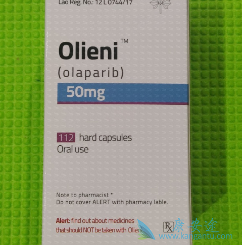 ���������İ���������Ч