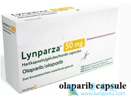 ���ΰ��������Ǽٵ���