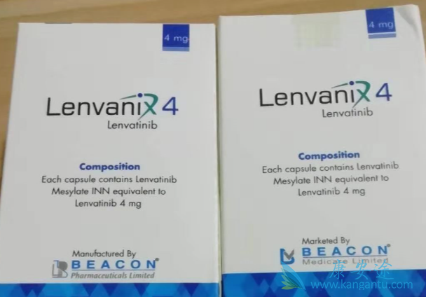 �ַ�����