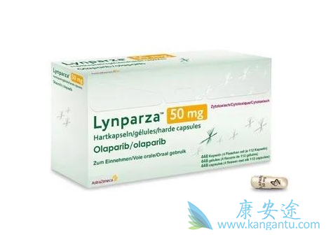 ���ΰ����������Ǯ