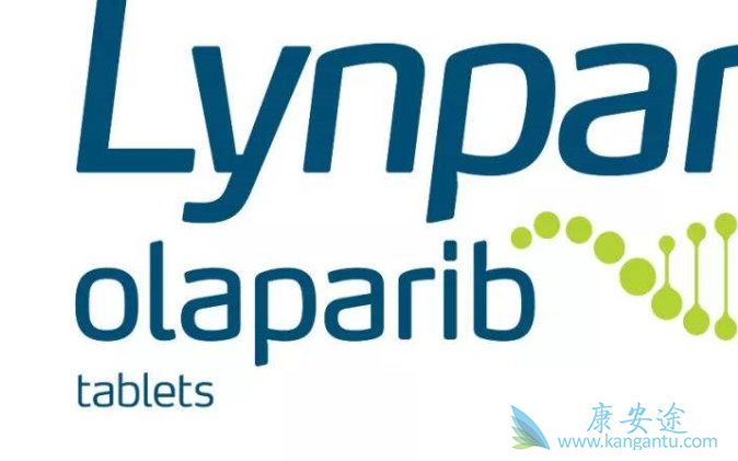 ���ΰ����������Ǯ