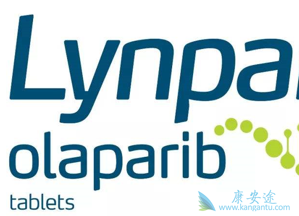 ���������ҽ�������Ǯ