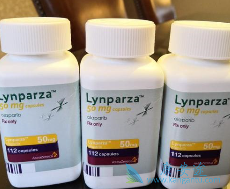 ���ΰ����������Ǯ