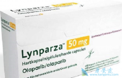 ��������˵����