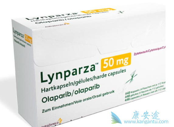 ����������ʲô����²��ܳ�