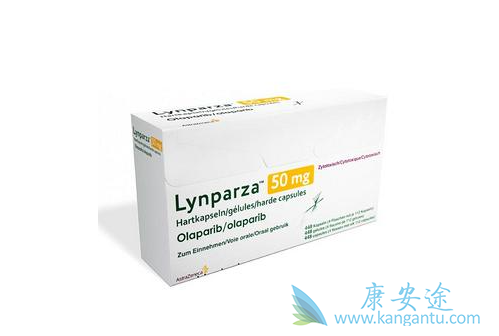 �����������Ǯ