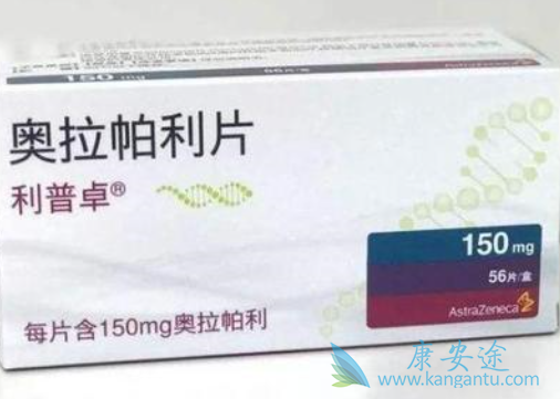 ���������й�����2018