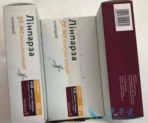 �ϼ�����������ʲô��