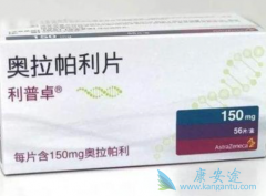 ��������������Ⱥ